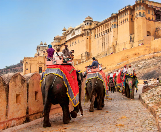 Experience a visit to Amber fort on elephant back on our private tour of Jaipur
